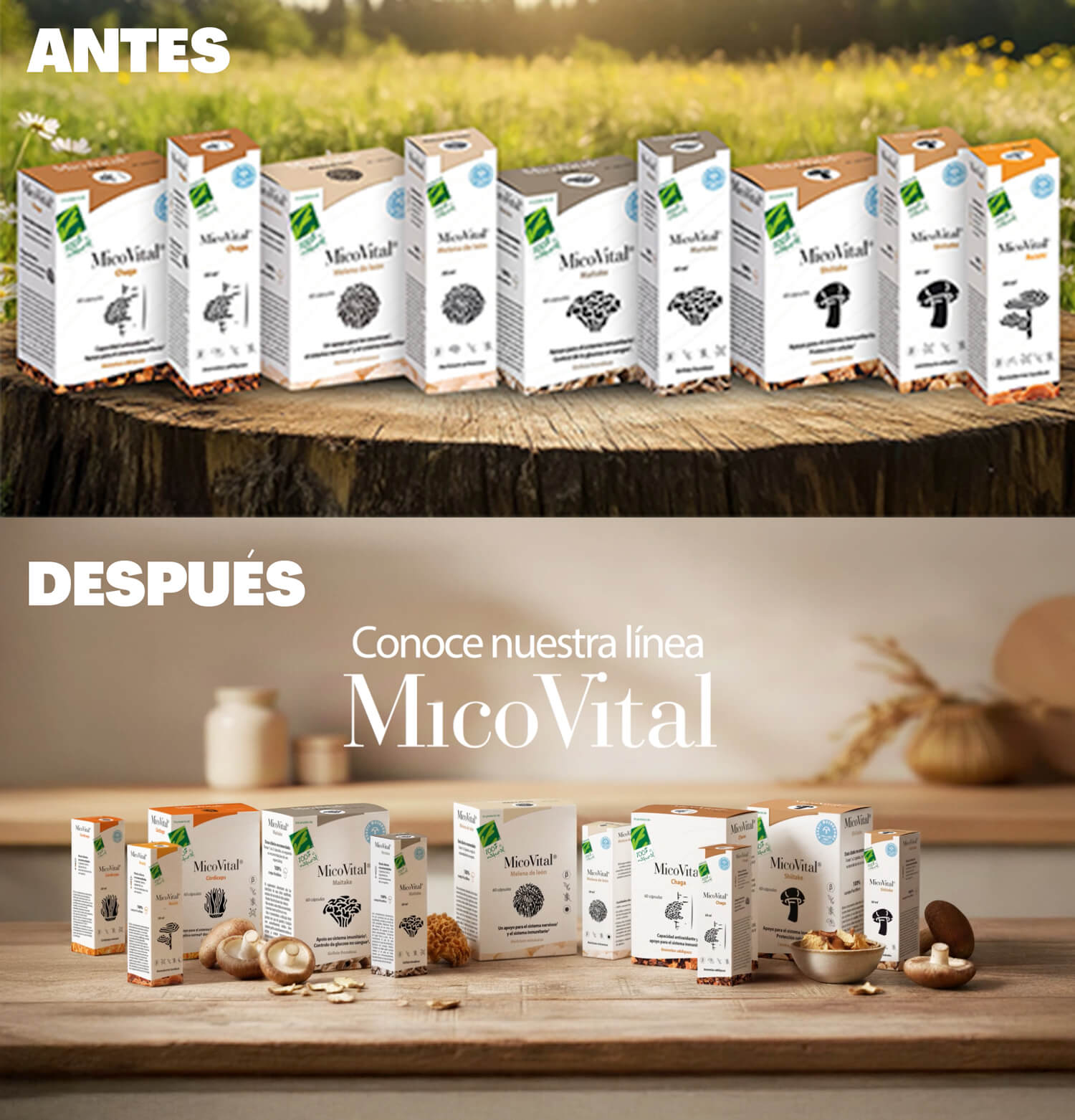 antes-y-después antes-y-después