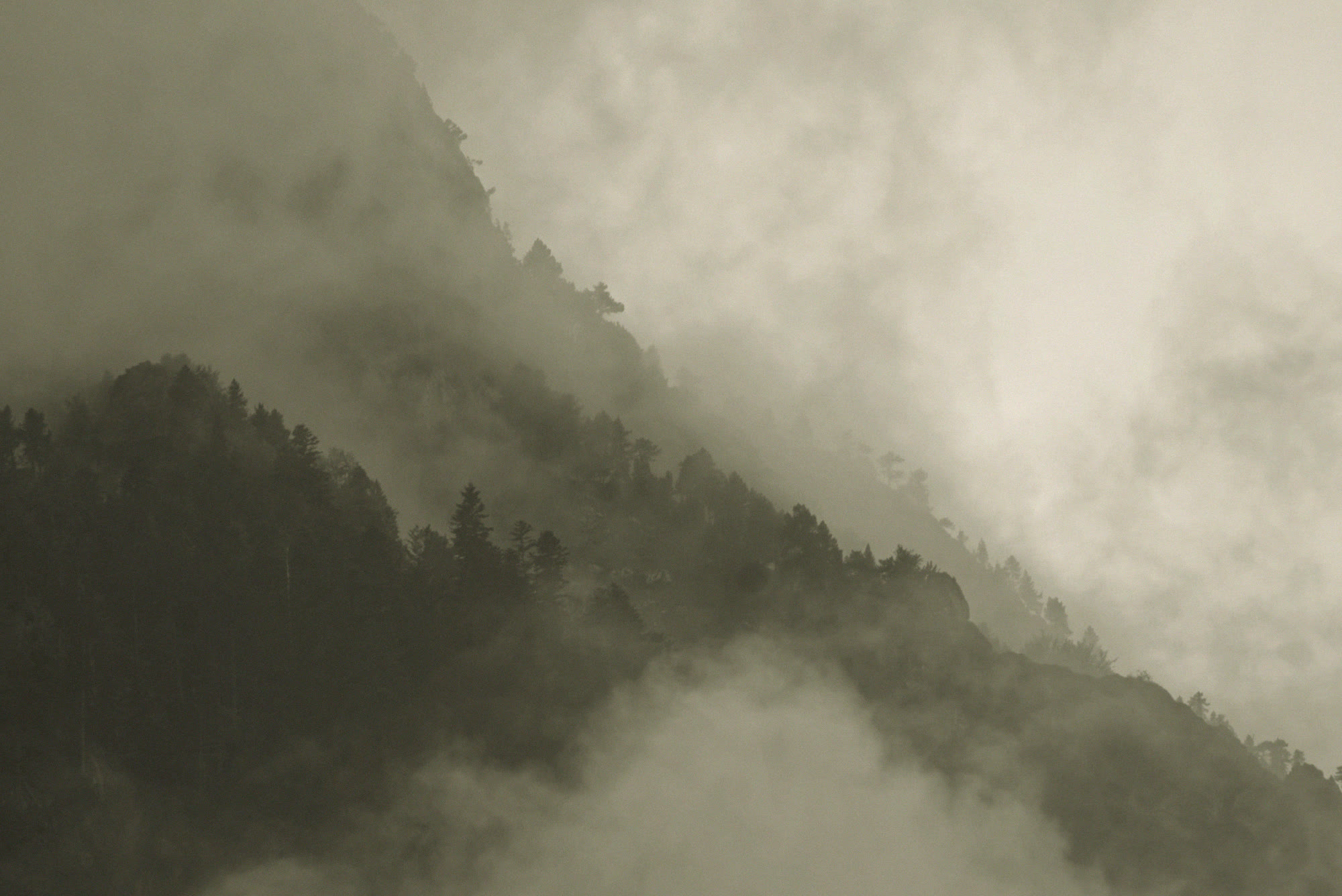 Montaña con niebla